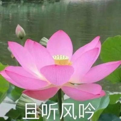 中青视评丨“最美铁路”成为赣粤发展新引擎